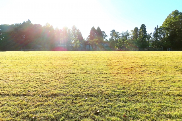 土地活用安定収入10