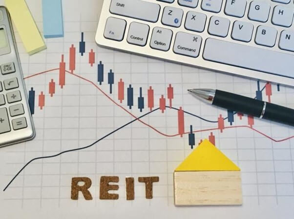 reit4.jpg